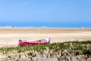 Alexandre ROSSINI - ROSSINI